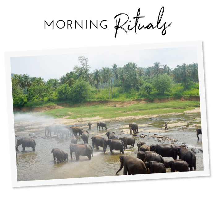 Morning rituals, Sri Lanka