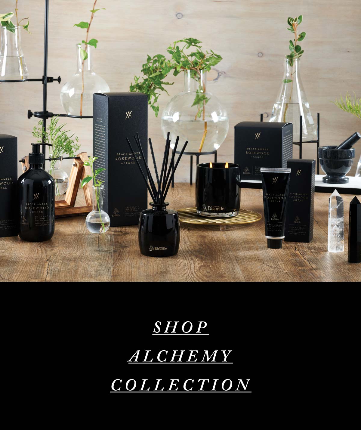 Shop Alchemy Collection