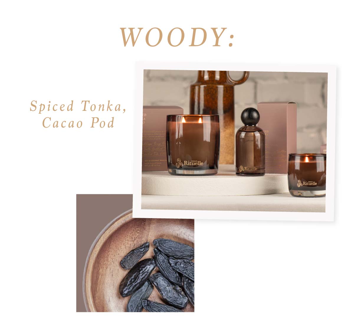 Apotheca. Woody: Spiced Tonka, Cacao Pod