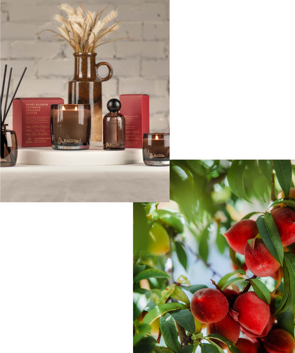 Fruity Fragrance Family: Apotheca